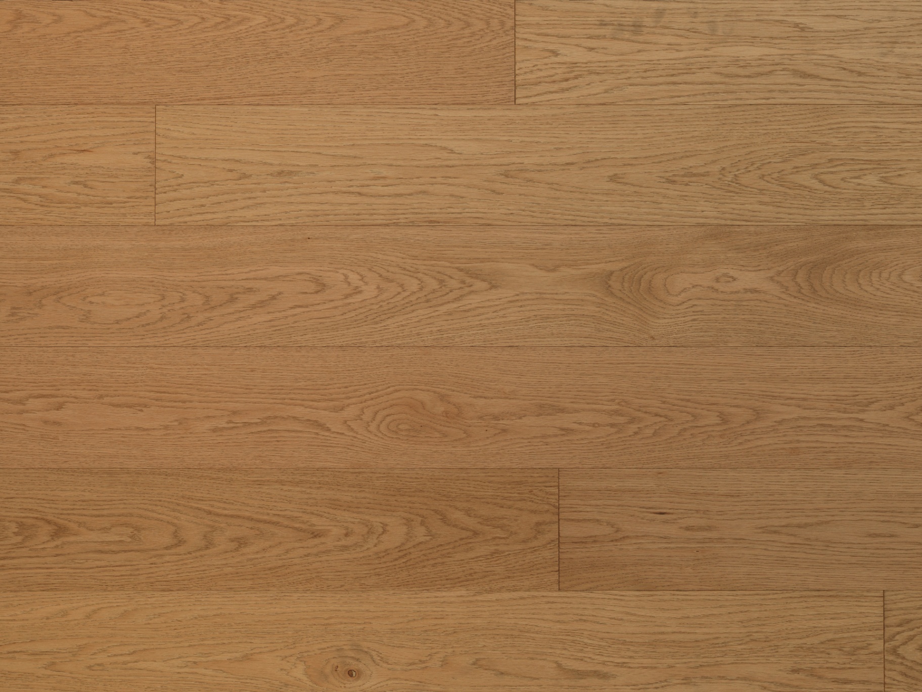SOFIANOS LIGHT BROWN